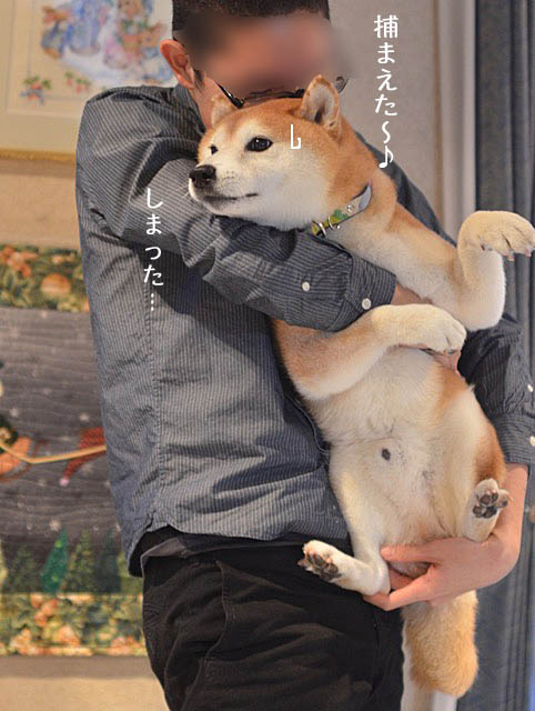 17日ブログ8