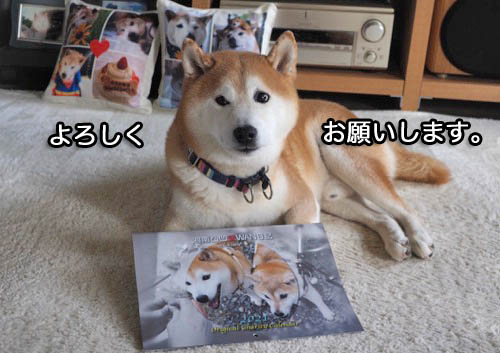 1日夜ブログ６