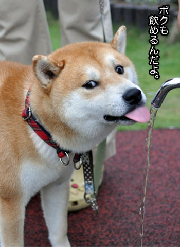 20日ブログ9.jpg