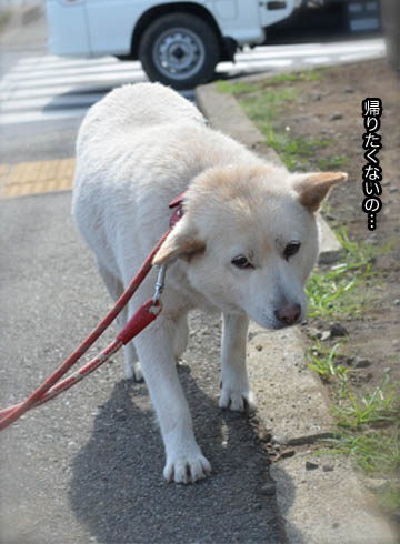 18日ブログ4.jpg