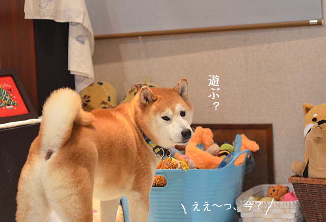 22日ブログ2
