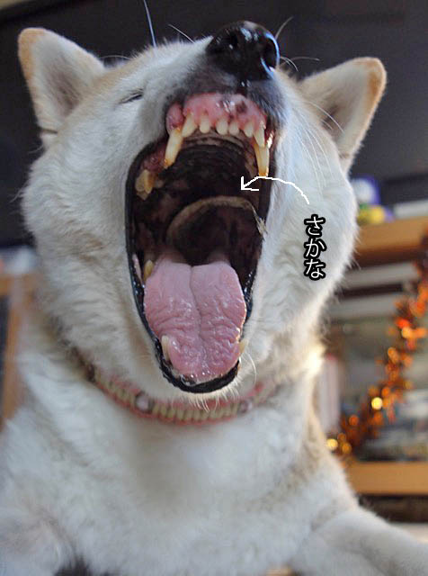 24日ブログ10
