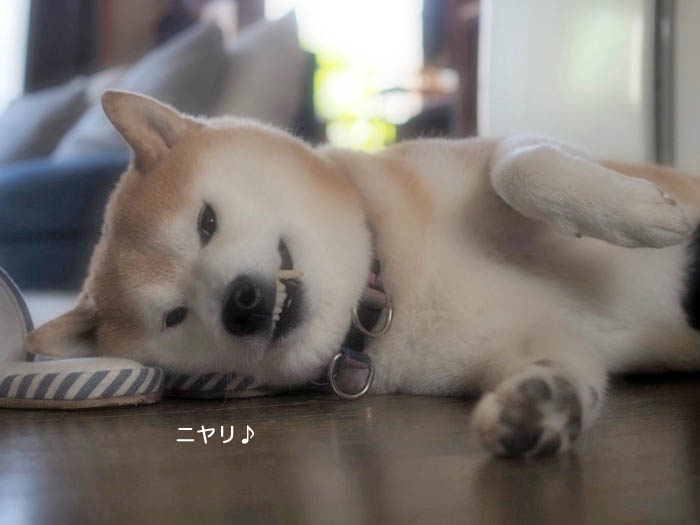 15日夕ブログ4