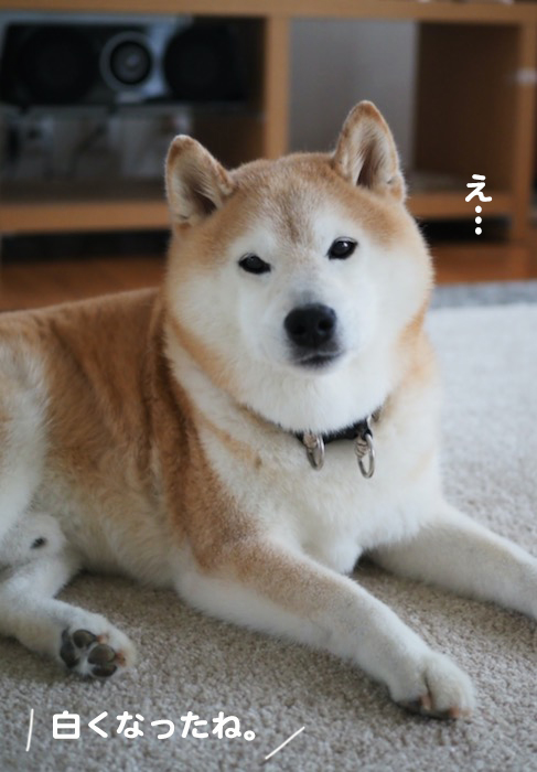 21日夜ブログ２