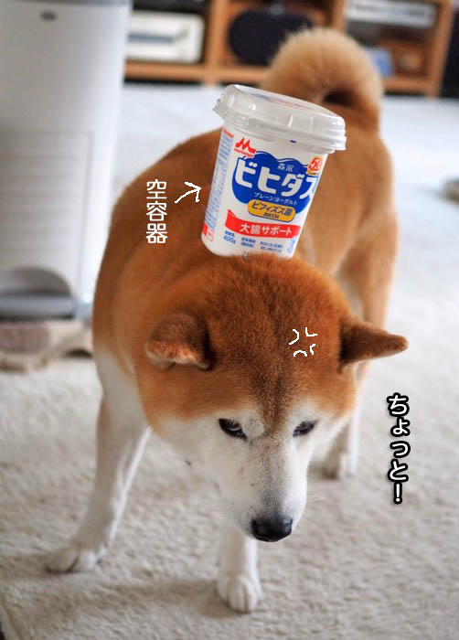 17日夜ブログ６
