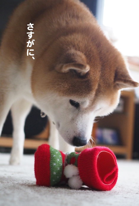 15日ブログ３