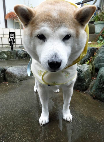 9日ブログ2.jpg