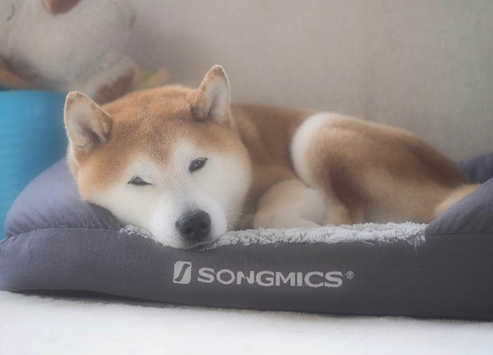 18日ブログ２