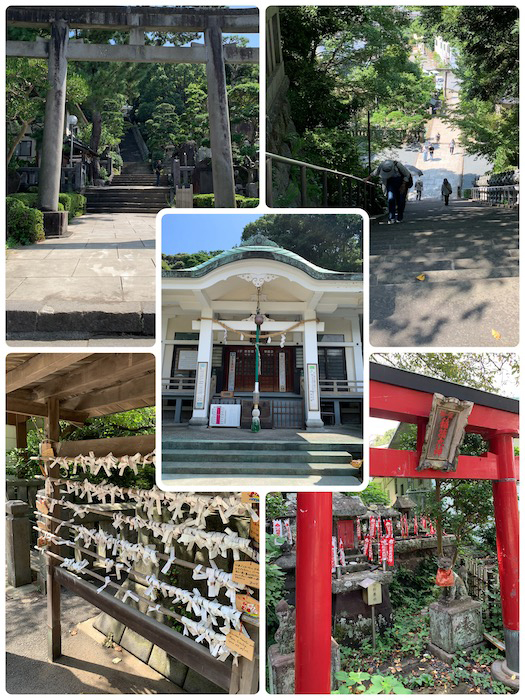 11日のブログ４