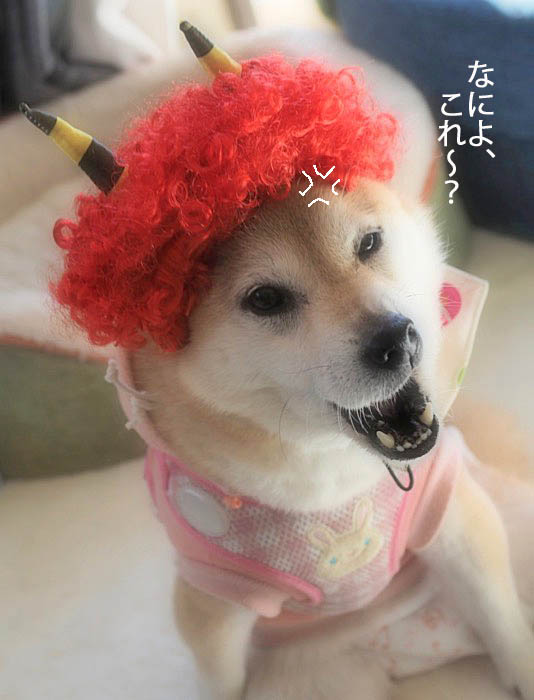 3日ブログ７