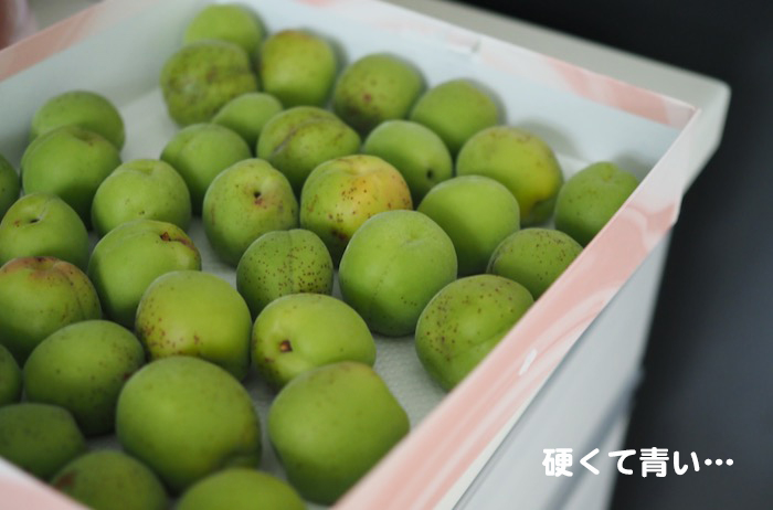 25日夕ブログ３