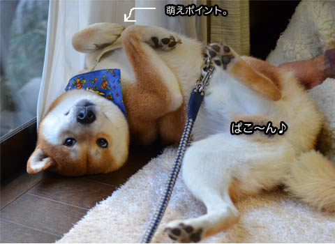 29日ブログ16.jpg