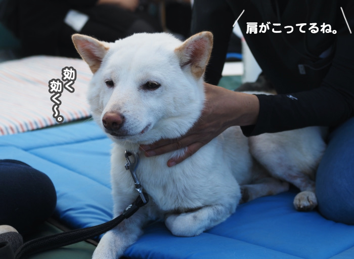 29日夕ブログ１０