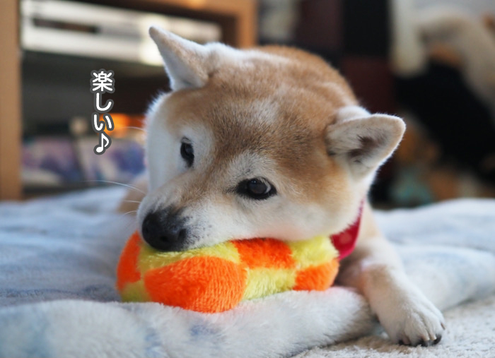 25日夜ブログ６