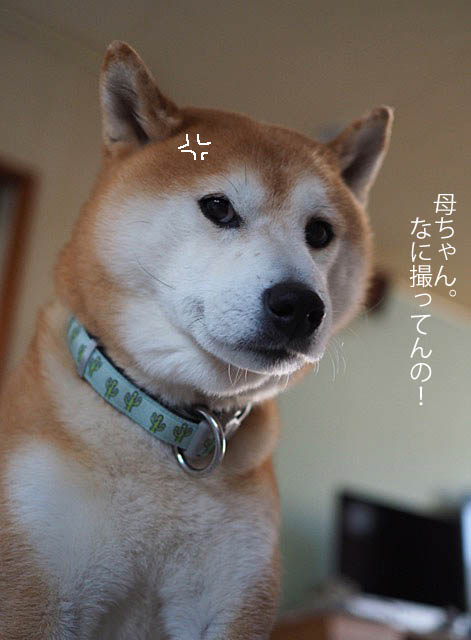 31日ブログ８