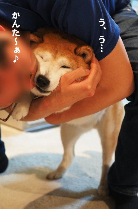 14日ブログ5