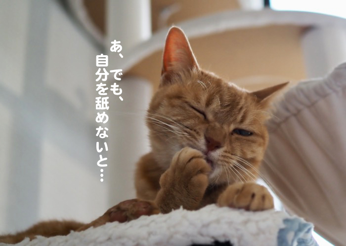 25日夕ブログ５