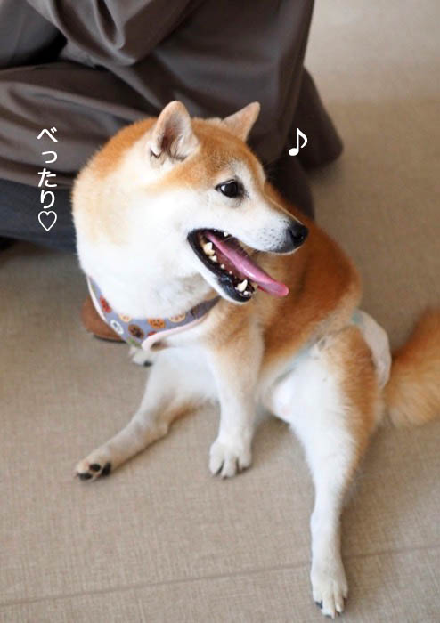6日ブログ６