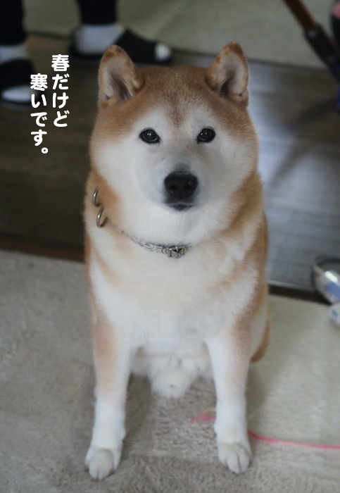 4日夕ブログ３