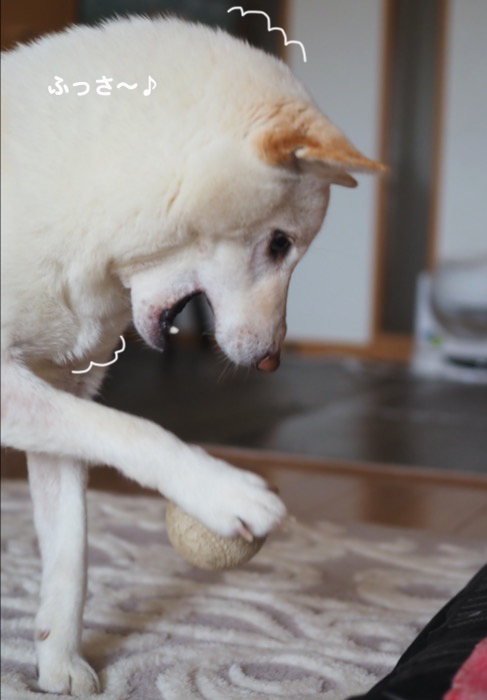 12日夕ブログ４