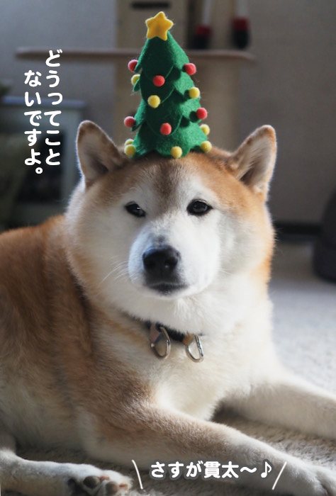 23日夕ブログ６