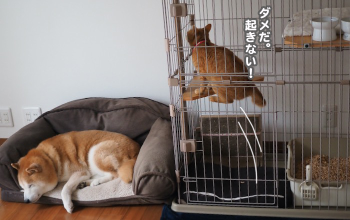 5日ブログ３
