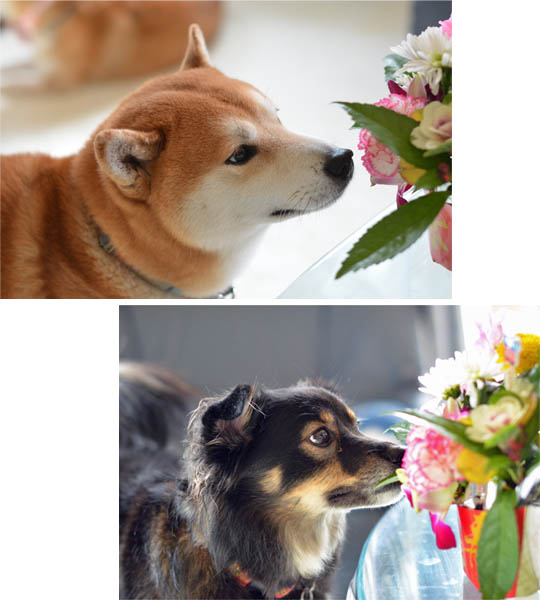3日ブログ4.jpg