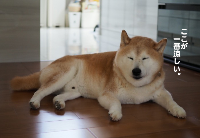 21日夕ブログ４