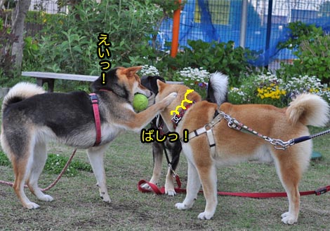 7日ブログ１２.jpg