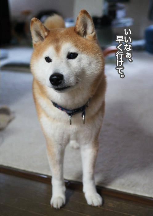25日夕ブログ４