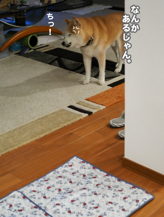 2日夕ブログ５