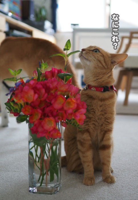 14日夕ブログ４