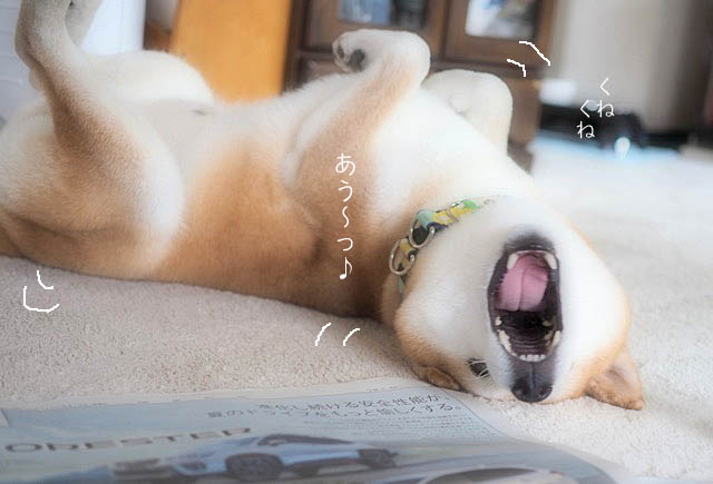 19日ブログ４