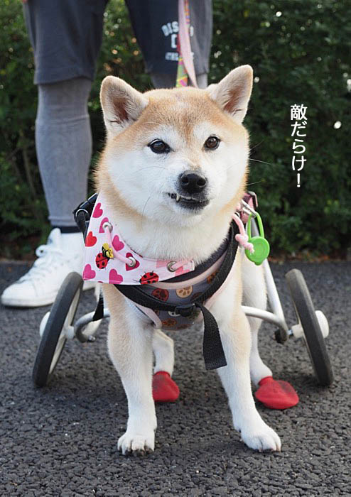 1日ブログ４
