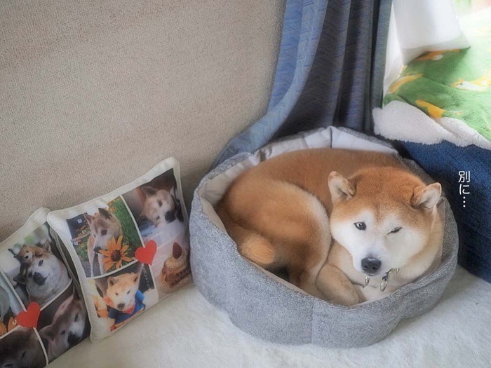 13ブログ4