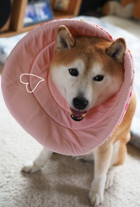 30日ブログ２