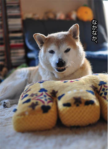 24日ブログ6.jpg