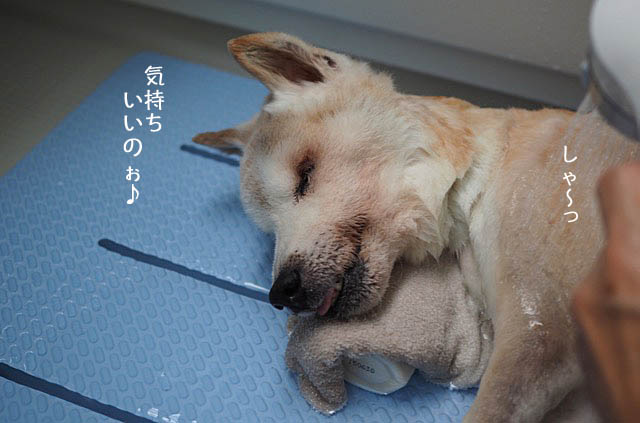 19日ブログ4