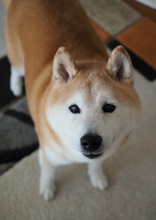 9日ブログ１