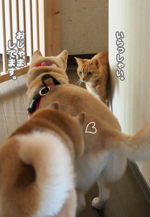 9日ブログ５