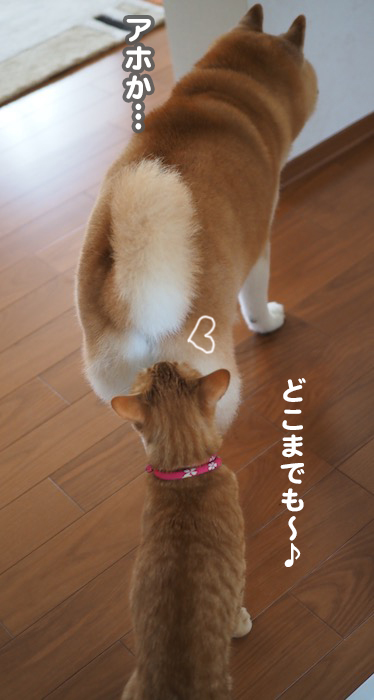13日夕ブログ７