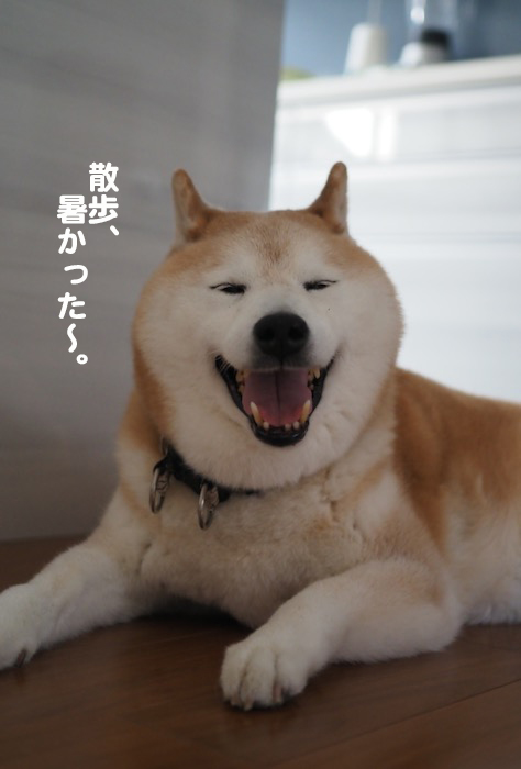 18日夕ブログ４