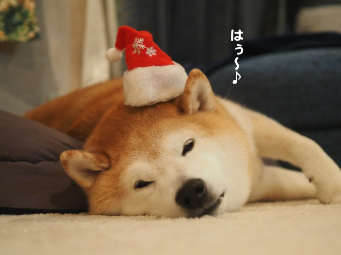 24日夜ブログ４
