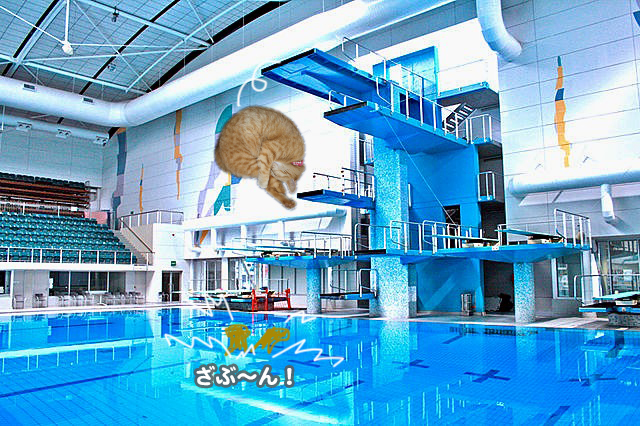 4日夕ブログ４