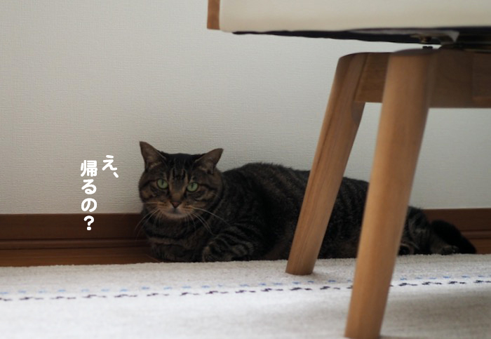 3日夕ブログ６