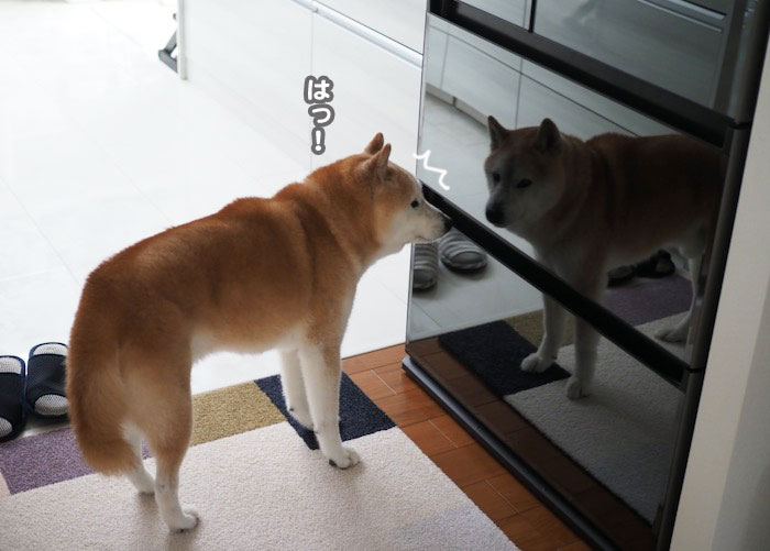 4日午前ブログ１