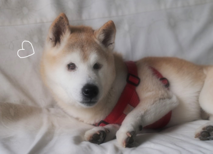 18日夕ブログ８