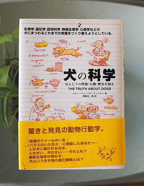27日ブログ1