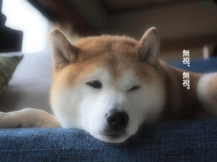 19日ブログ３