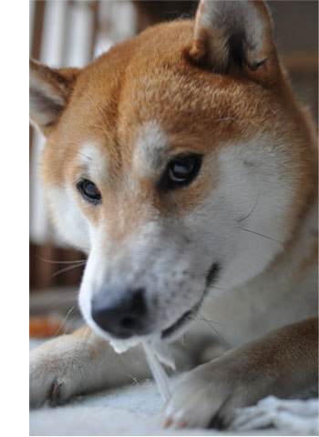 23日ブログ8.jpg